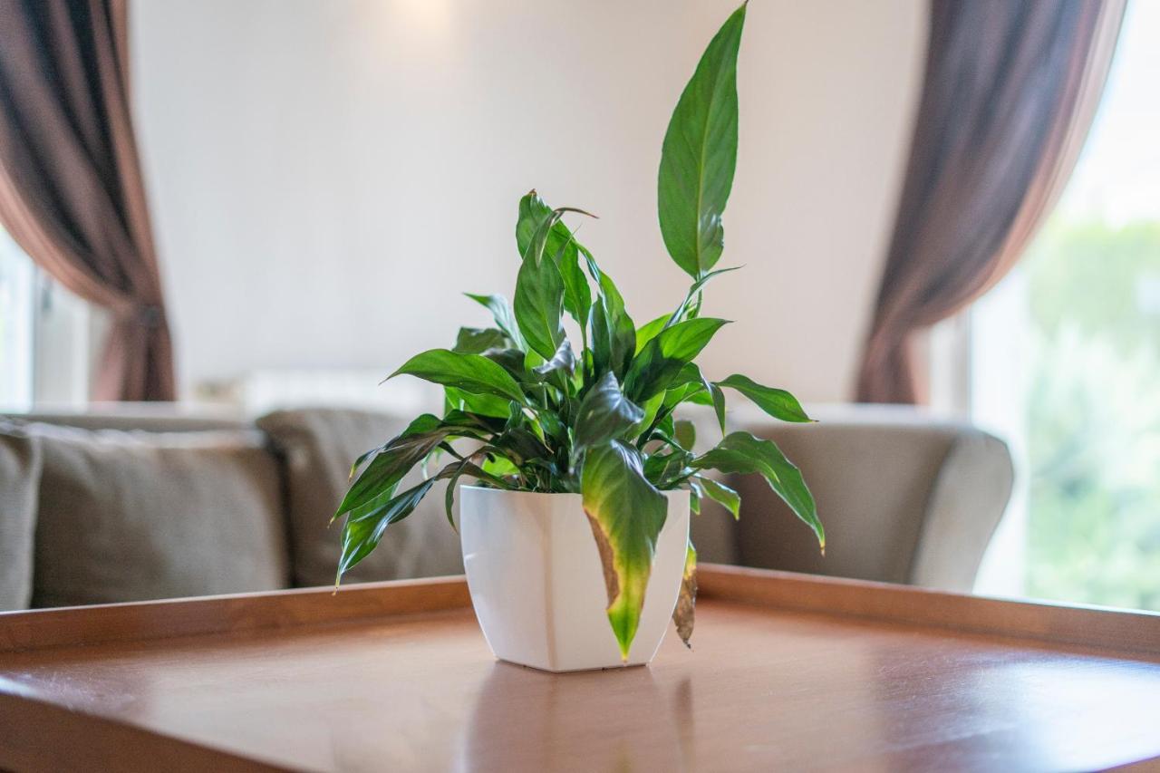 Casa Garrod - Spacious Family Villa アルジェズール エクステリア 写真